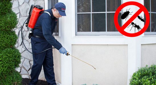 Çakmaklı Kemirgen İlaçlama böcek ilaçlama ve haşere kontrolü — ilaclama-tr.com